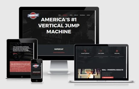 POWERNETICS Website Design